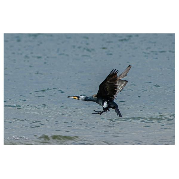 PHOTO84, CLUB, 84 , LUBERON